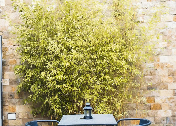 D'obidos Όμπιδος