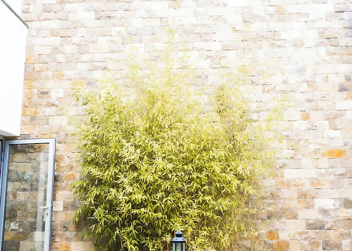 D'obidos 4* Όμπιδος